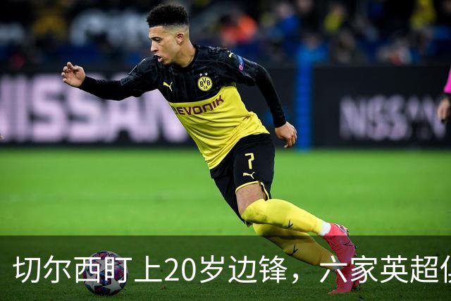 切尔西盯上20岁边锋，六家英超俱乐部同时关注