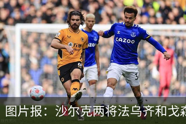 图片报：沙尔克两将法乌齐&戈森斯严重撞伤，将缺席杯赛