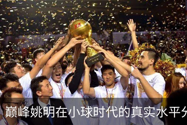 巅峰姚明在小球时代的真实水平分析