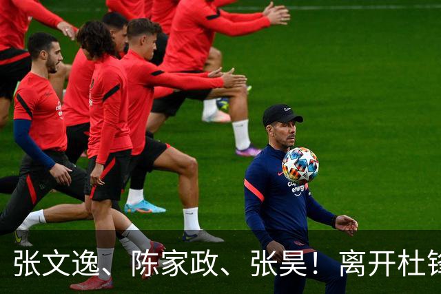 张文逸、陈家政、张昊！离开杜锋不会打球了，也没有上场时间了