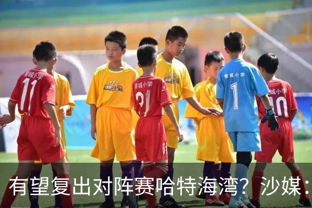 有望复出对阵赛哈特海湾？沙媒：托尼重新参加球队训练