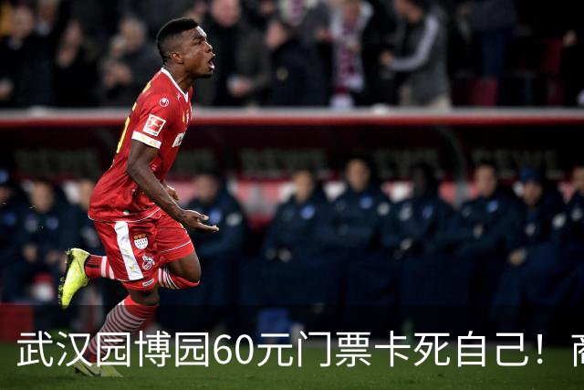 武汉园博园60元门票卡死自己！商铺跑光，几十亿投资竟败给一张票
