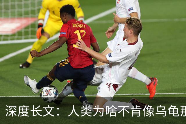 深度长文：人类为啥不肯像乌龟那样吃一顿管好几天？