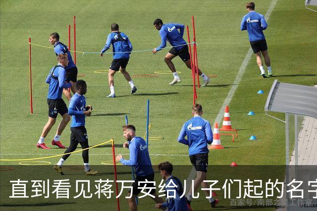 直到看见蒋万安给儿子们起的名字，就知道他骨子里的身份瞒不住