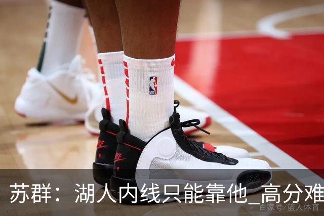 苏群：湖人内线只能靠他 高分难掩隐患