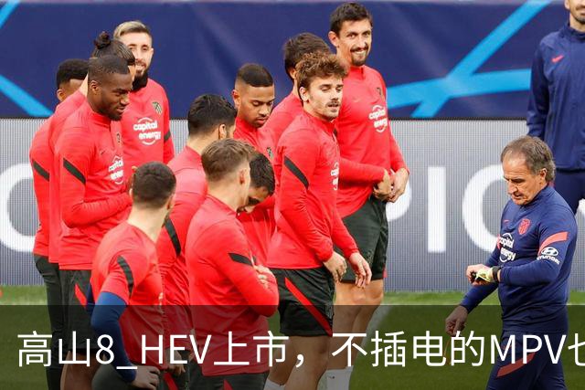 高山8 HEV上市，不插电的MPV也配激光雷达
